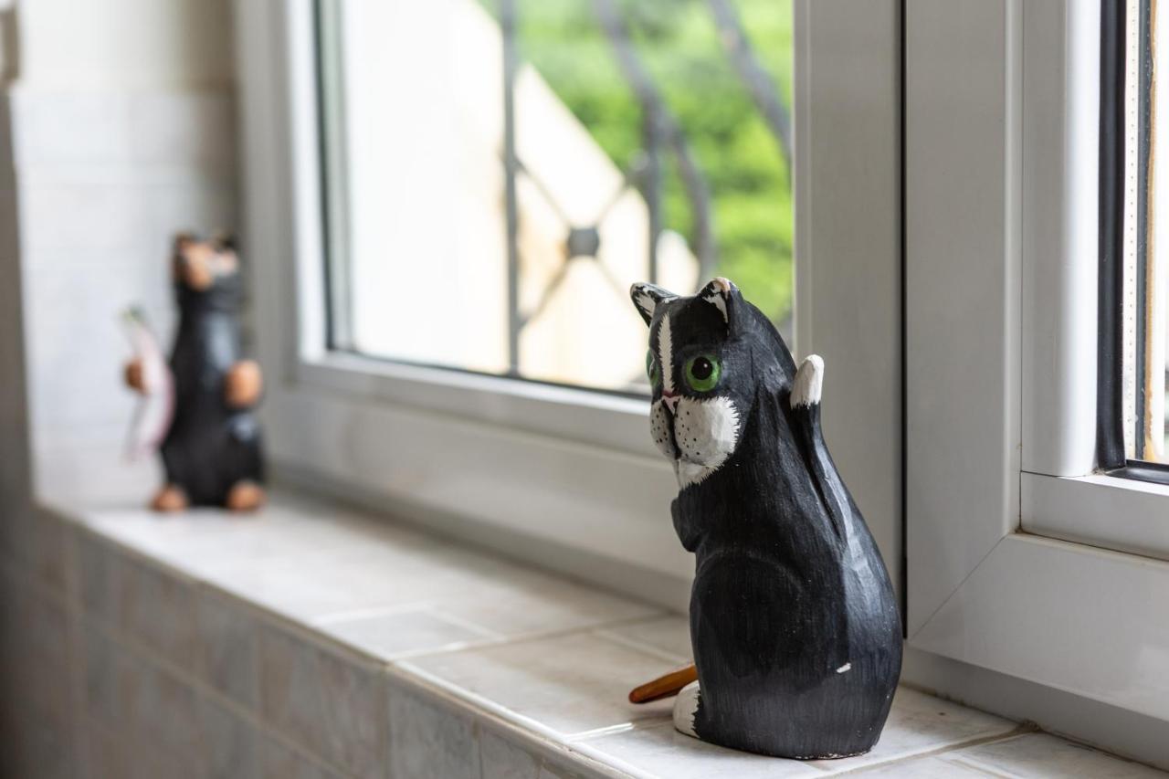 Apartments Nina パリニ エクステリア 写真
